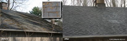 Photo of roof cleaning, removal of moss and lichen, Branford, CT